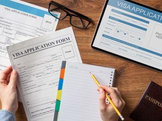 Visa Filling